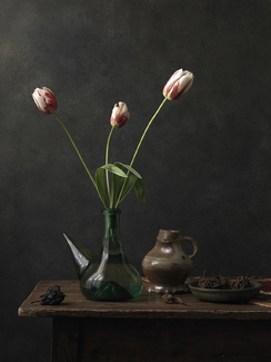 Fragment 6 Color Awards Winners and Nominees