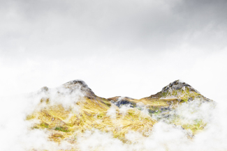 Alps Color Awards Winners and Nominees
