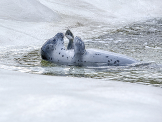 I love it. Color Awards Winners and Nominees