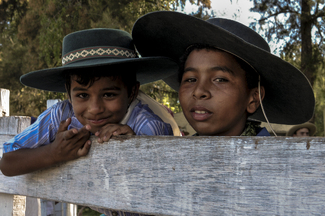 Raízes Color Awards Winners and Nominees