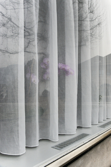 Still Color Awards Winners and Nominees