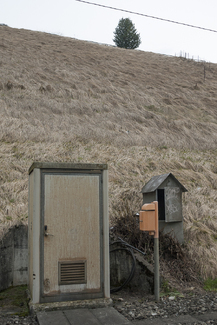 Trio Color Awards Winners and Nominees