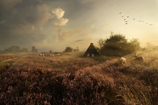 Old times - Drenthe  Color Awards Winners and Nominees