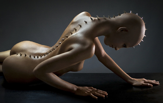 She Rises Color Awards Winners and Nominees