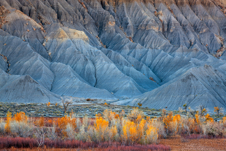 Blue Desert Color Awards Winners and Nominees