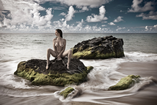 Perched II Color Awards Winners and Nominees