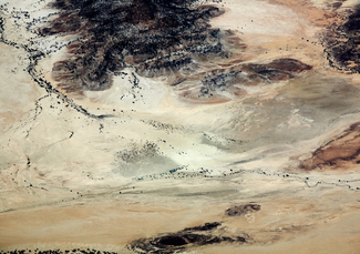 Flood Plaines Color Awards Winners and Nominees