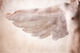 Angelic Fresco Color Awards Winners and Nominees