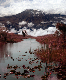 Dreaming of heaven and Earth Color Awards Winners and Nominees