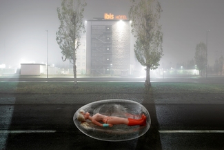 hello dolly! #1 Color Awards Winners and Nominees