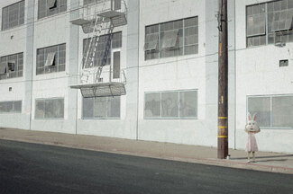 Dreaming Color Awards Winners and Nominees