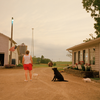 Storm's Calm Color Awards Winners and Nominees