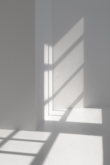 window  Color Awards Winners and Nominees
