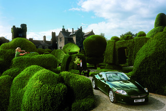 color fantasies, "botanical green" Color Awards Winners and Nominees