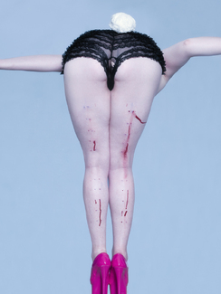 free range Color Awards Winners and Nominees