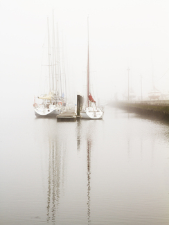 Morning Fog Color Awards Winners and Nominees