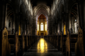 Refuge Color Awards Winners and Nominees