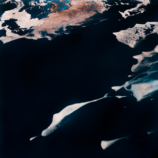 Water and Ice Color Awards Winners and Nominees