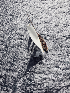 Voiles VV1- D3 Tuiga Color Awards Winners and Nominees
