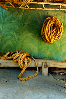Coiled ropes Color Awards Winners and Nominees