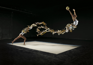 freddy-olympics Color Awards Winners and Nominees