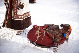 Nenets Kid Color Awards Winners and Nominees