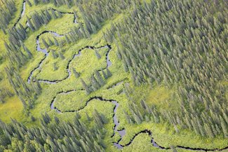 Snaking River Color Awards Winners and Nominees