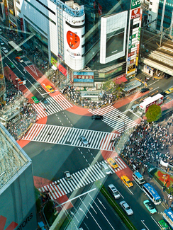 Shibuya Color Awards Winners and Nominees