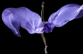 Mania Grandiosa Color Awards Winners and Nominees