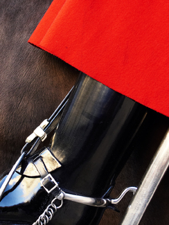 The Royal Toy Story Color Awards Winners and Nominees