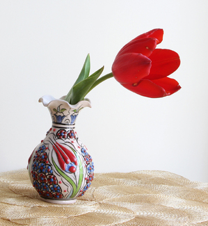 Tulips Color Awards Winners and Nominees