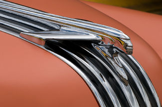 Strength Color Awards Winners and Nominees