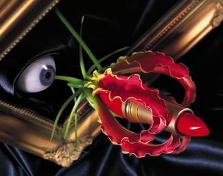 Seek After Beauty Color Awards Winners and Nominees