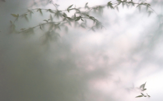 Hues of my Mother's Dementia 1 Color Awards Winners and Nominees