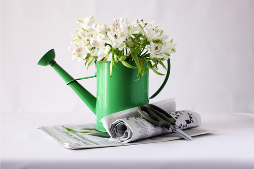 untitled (3) untitled (3)