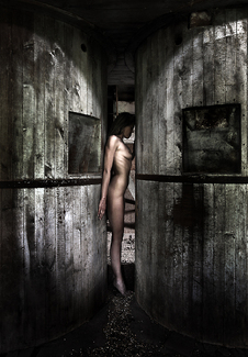 Compression Color Awards Winners and Nominees