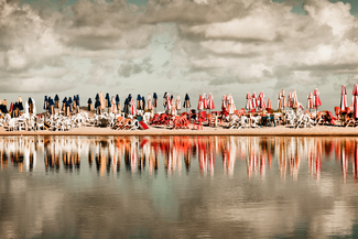 Plastic beach Color Awards Winners and Nominees