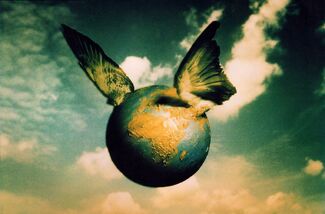 World on the run! Color Awards Winners and Nominees