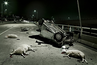 Sleeping and Driving Color Awards Winners and Nominees