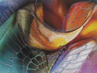 Bird of Paradise Color Awards Winners and Nominees