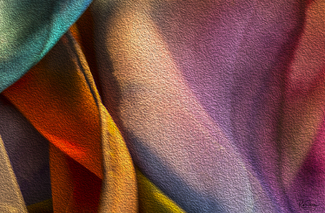 Abstract Expressionism in Silk Color Awards Winners and Nominees