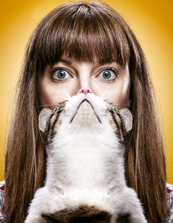 Cat Beard Color Awards Winners and Nominees