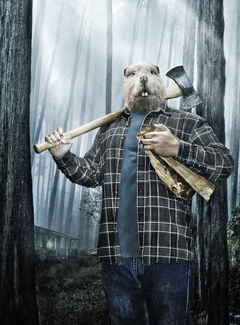 Arctic Cat Color Awards Winners and Nominees