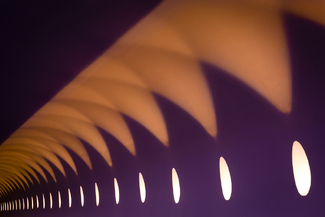 Sharks teeth Color Awards Winners and Nominees