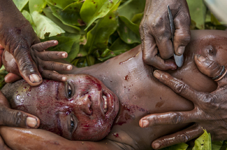 Scarification Color Awards Winners and Nominees