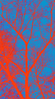 Burning Tree Color Awards Winners and Nominees