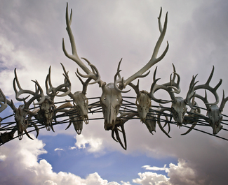 The Skull Arch Color Awards Winners and Nominees