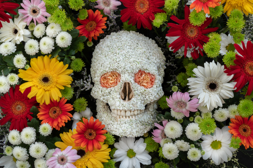 Kissed by a Rose Kissed by a Rose