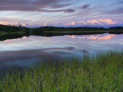 Denali Sunrise Denali Sunrise