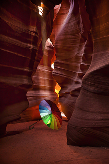 The Umbrella Color Awards Winners and Nominees